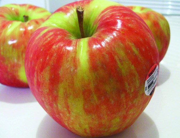 [Image: honeycrisp-apple.jpg?crop=true&width=620]